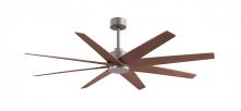 Ceiling Fans