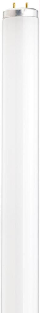 22 Watt; T12; Black light Fluorescent; Medium Bi Pin base; Shatter Proof