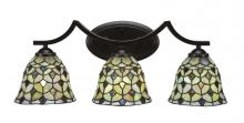 Toltec Company 553-DG-9965 - Bathroom Lighting