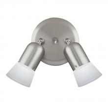 Whitfield CP52SS - 2 Light Pan Light