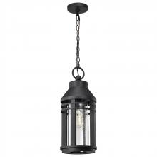 Nuvo 60/8104 - Wilton; 1 Light Hanging Lantern; Matte Black with Clear Seeded Glass