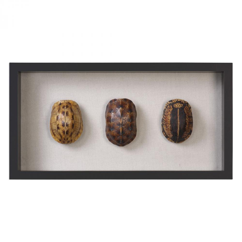 Uttermost Tortoise Shells Shadow Box