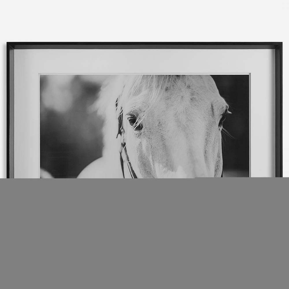 Uttermost Eyes on The Prize Framed Print