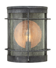 Hinkley 2620DZ - Small Wall Mount Lantern