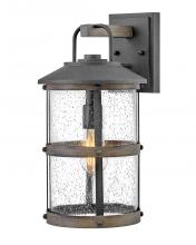 Hinkley 2684DZ-LV - Medium Wall Mount Lantern 12v